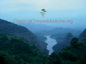 Home page of Classicalchinesemedicine.org