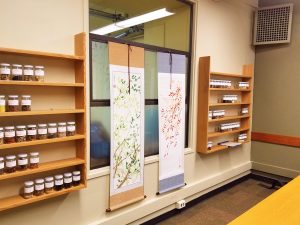 photo of study room with Chinese herb library