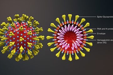 coronavirus image