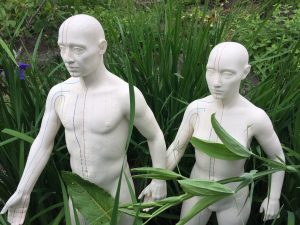 male and female acupuncture models